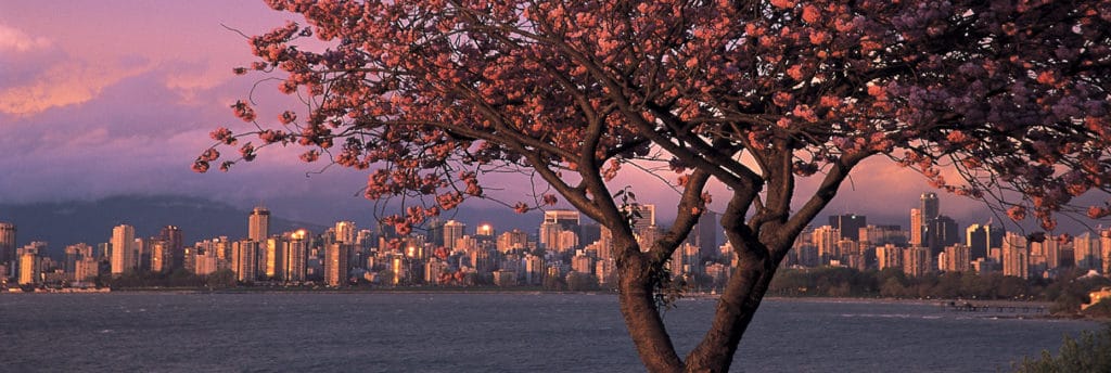 Vancouver - Die Perle des Pazifik