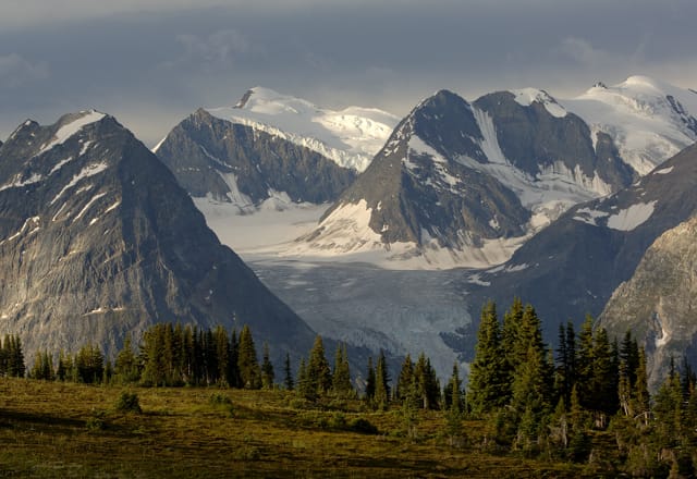 Glacier Nationalpark in Alberta in Kanada