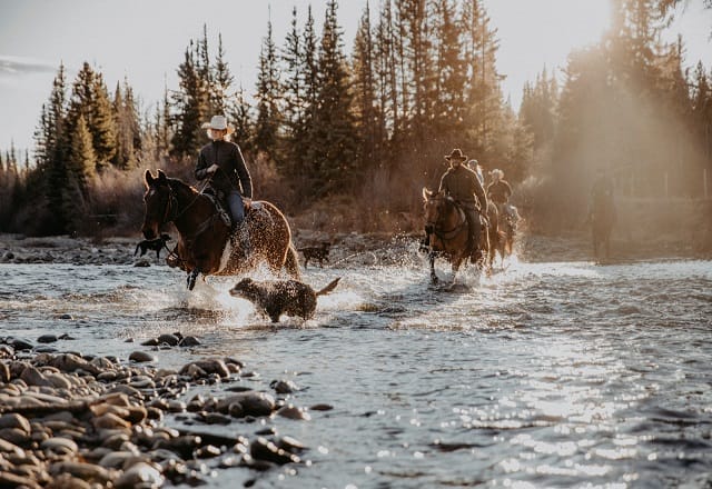 kanada Big Creek Lodge See reiten Pferde