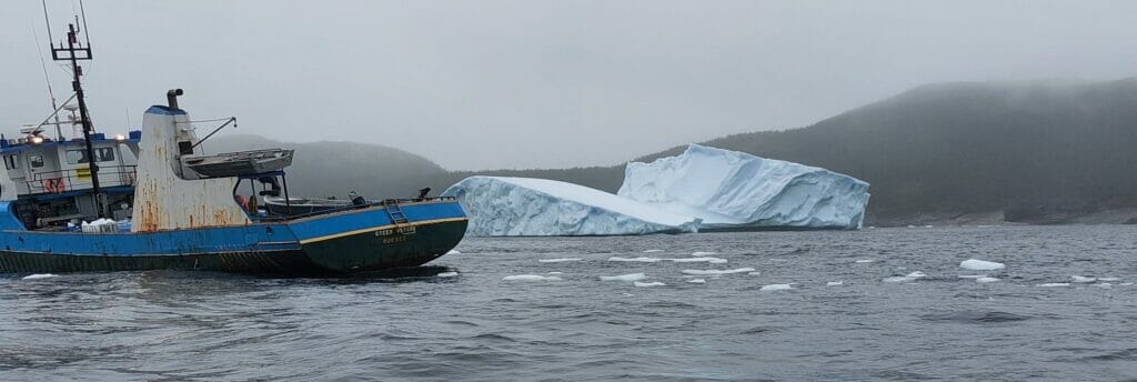 Iceberg_Newfoundland